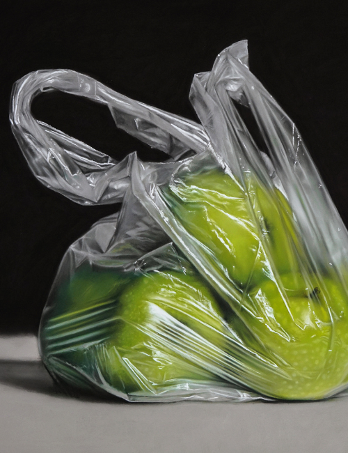 pastel drawing of oranges in a plastic bag tied in a bow on a dark back ground