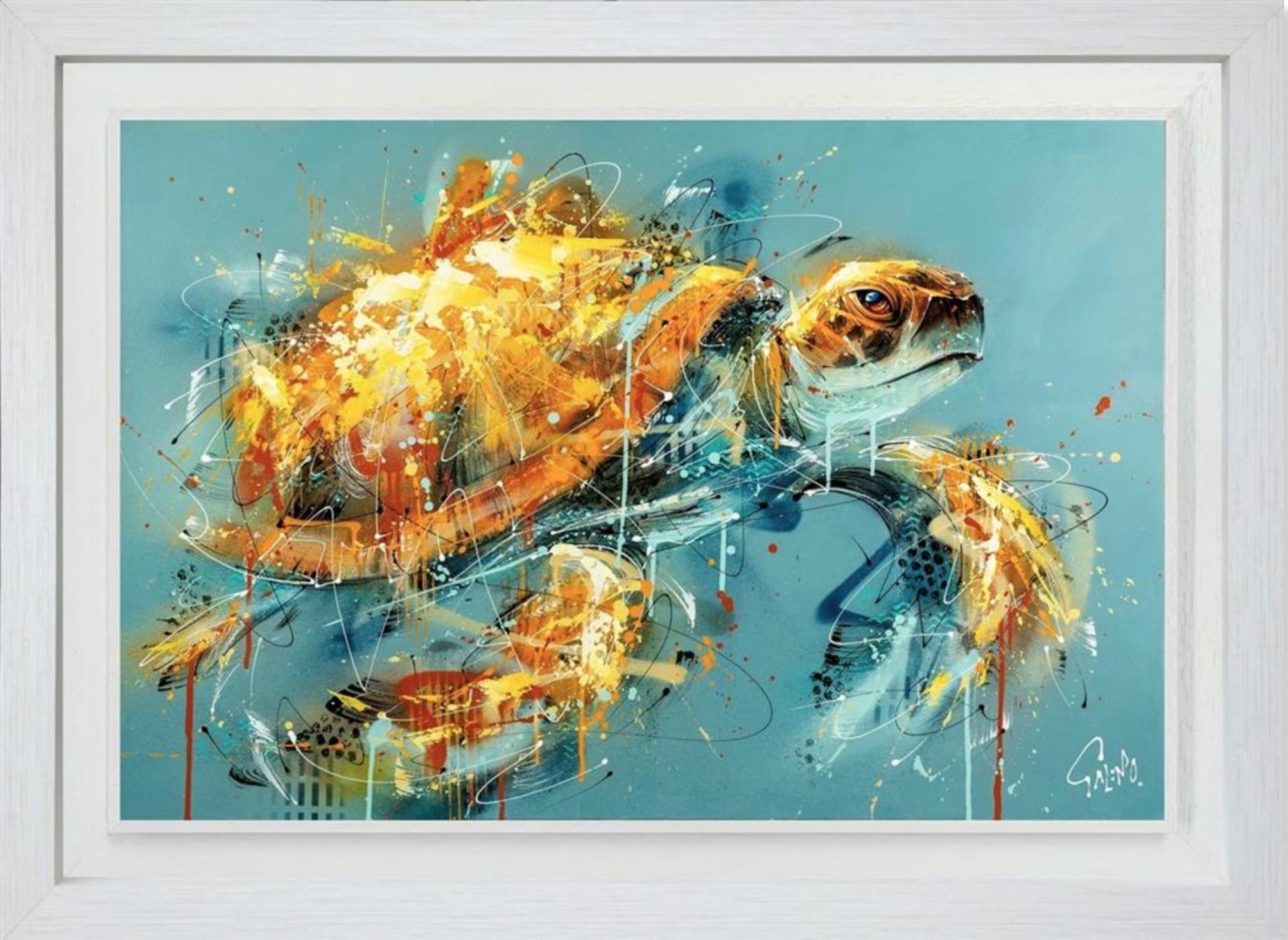 Framed artwork of a turtle with abstract design on a blue background