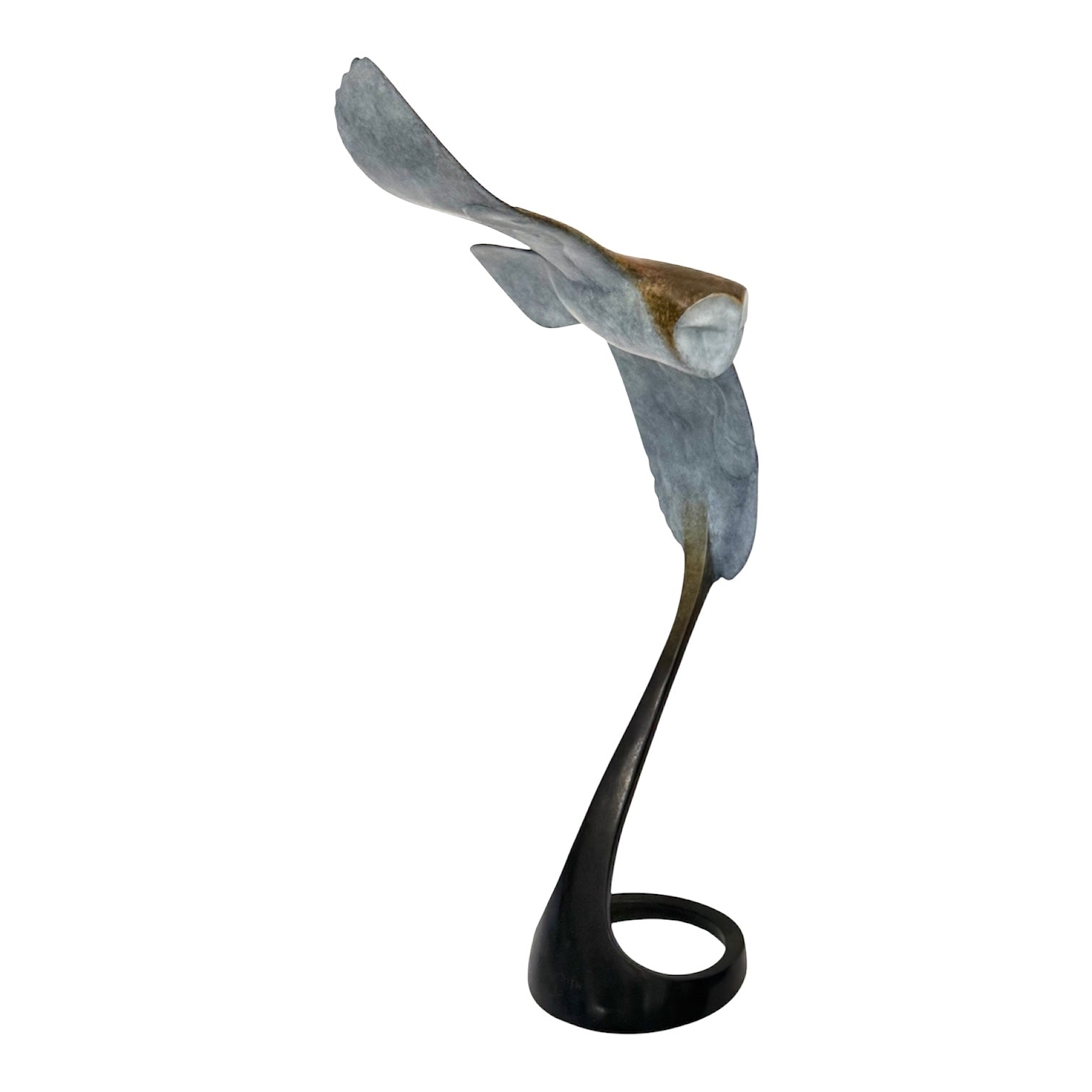 Large Barn Owl in flight Bronze Sculpture showing pale patina underneath of body.