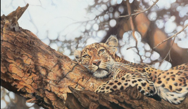 Jarva the leopard original painting by Lyndsey Selley