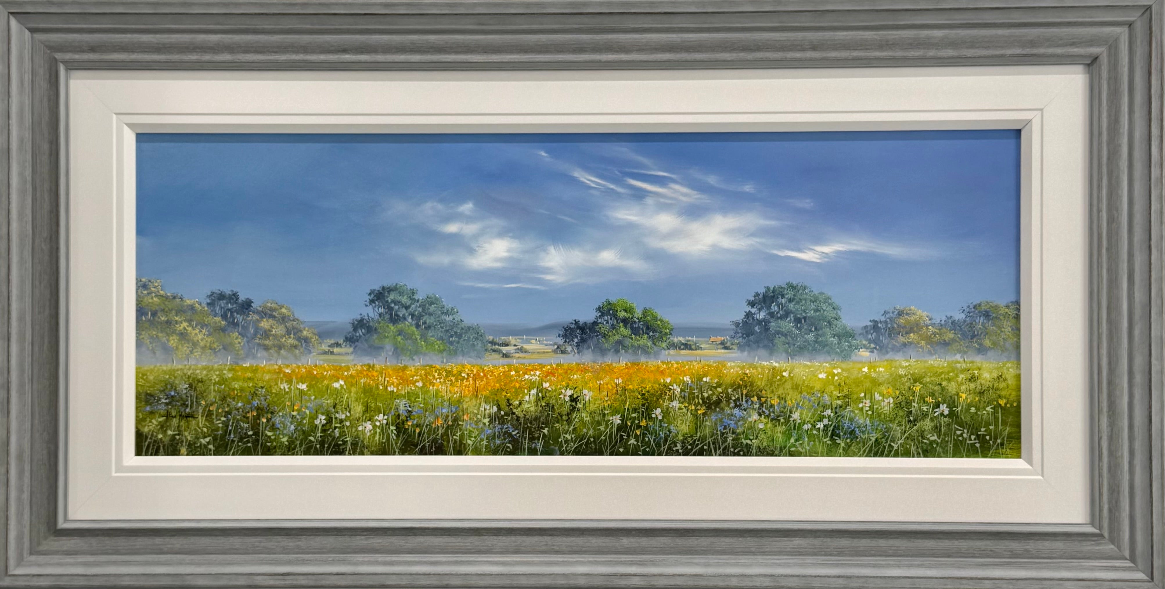 Summer Light Across the Meadow