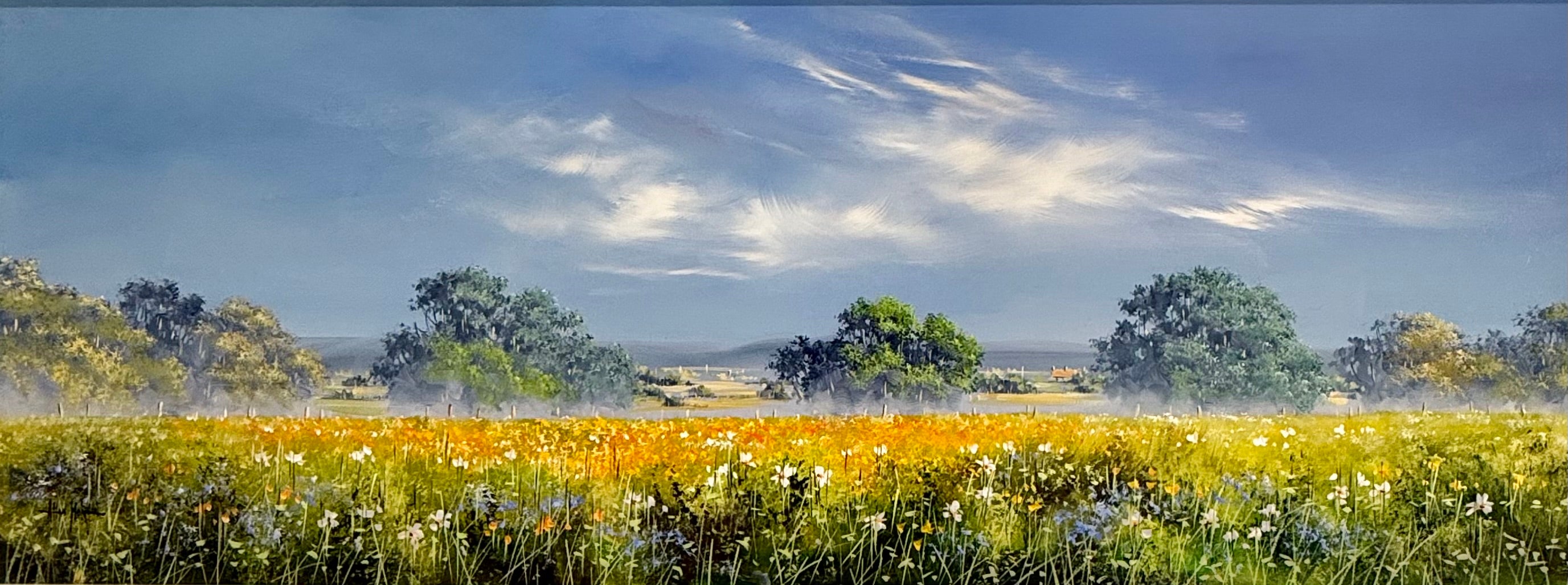 Summer Light Across the Meadow