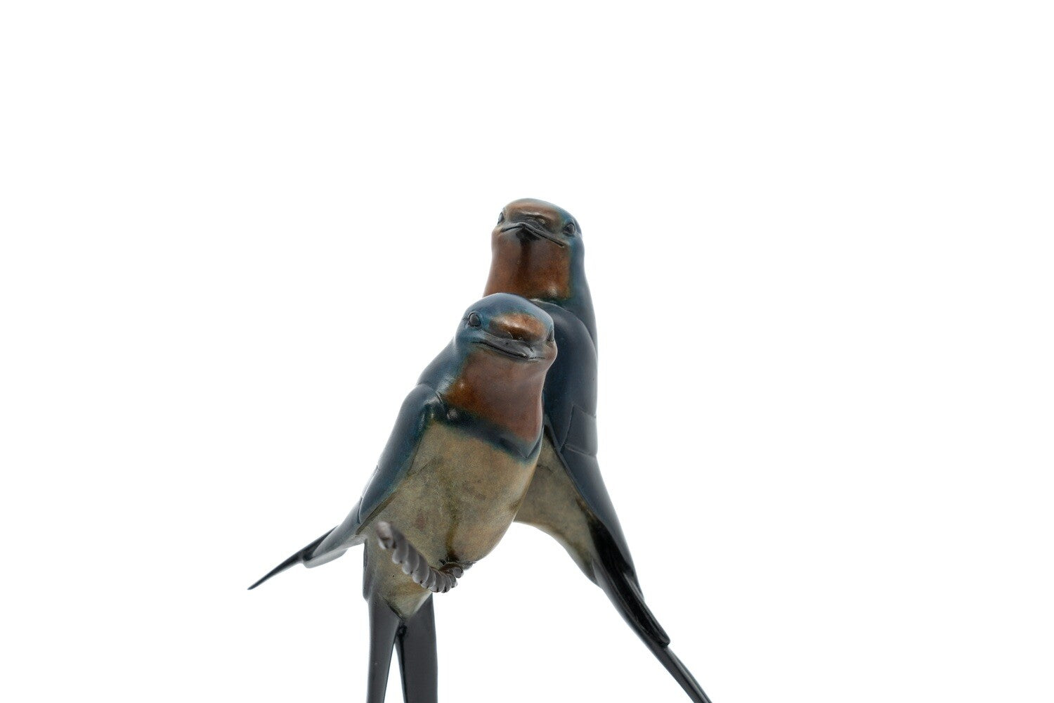 Two birds perched on a white background