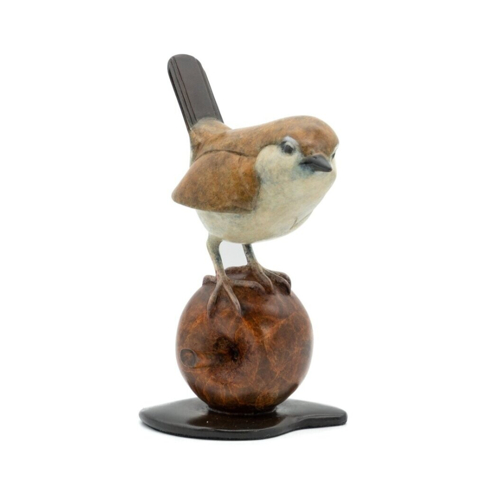 wren perched on a apple against a white background