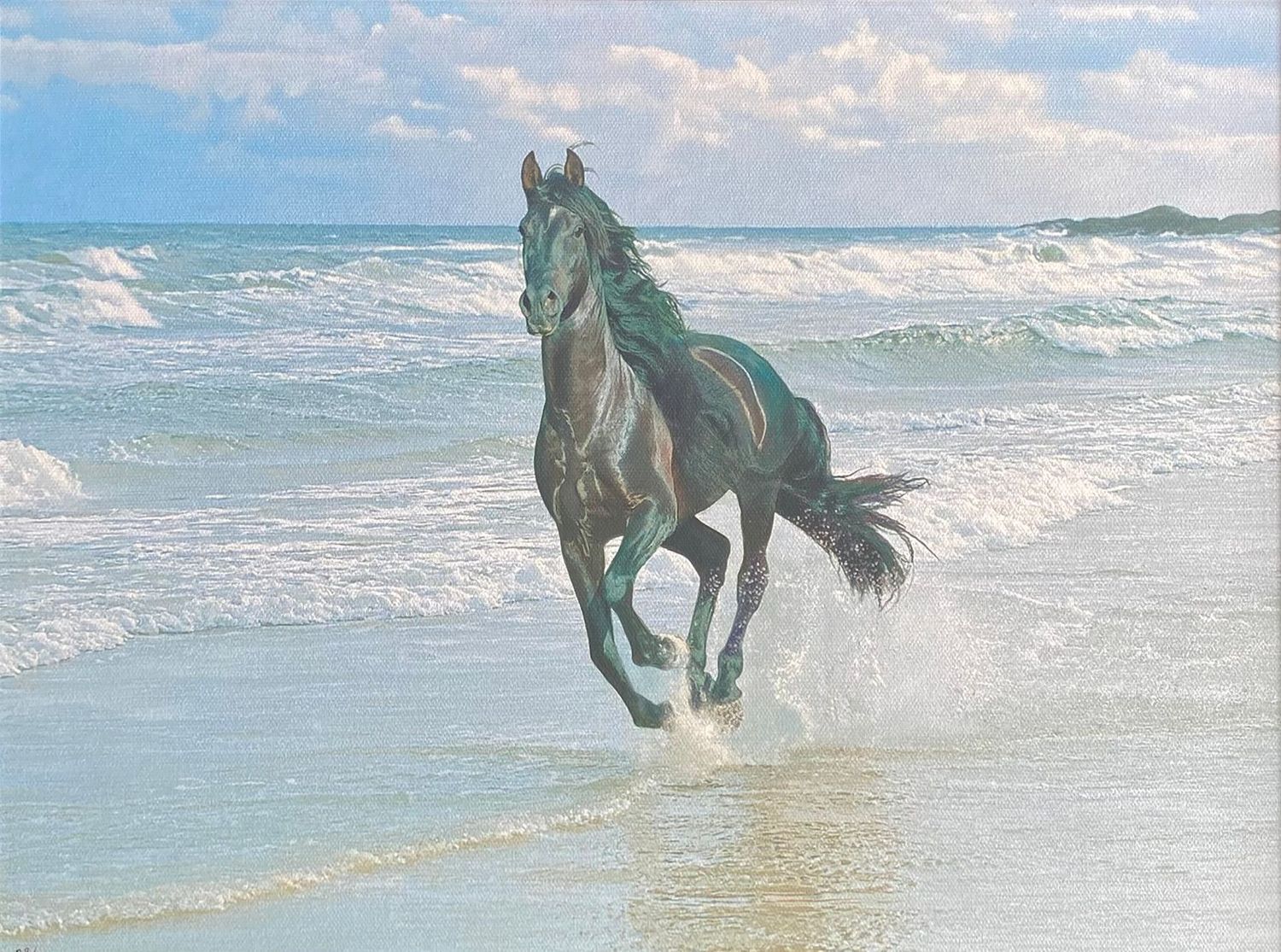 Sea Stallion