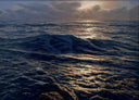 Into the Quiet