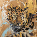 Makucha Amur Leopard- Original