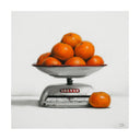 Oranges on White Scales