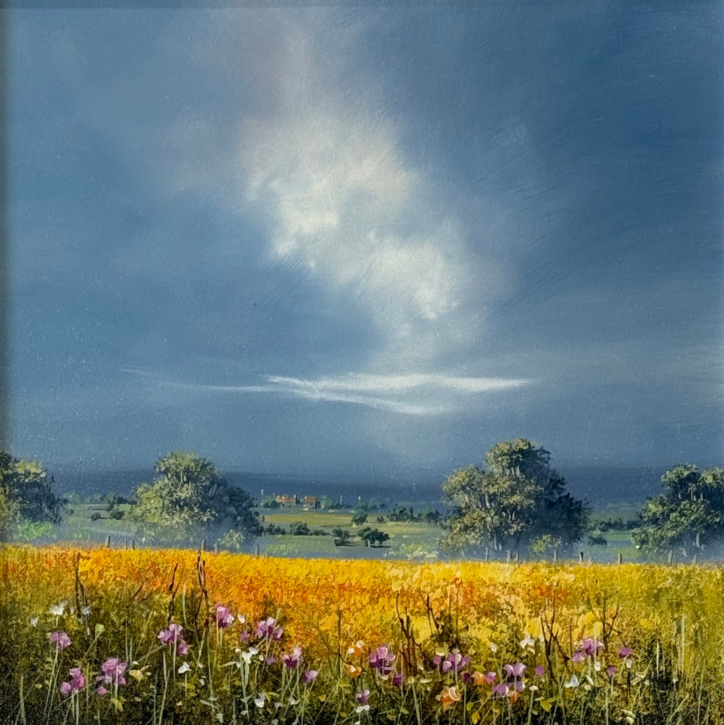 The Last of the Rain
